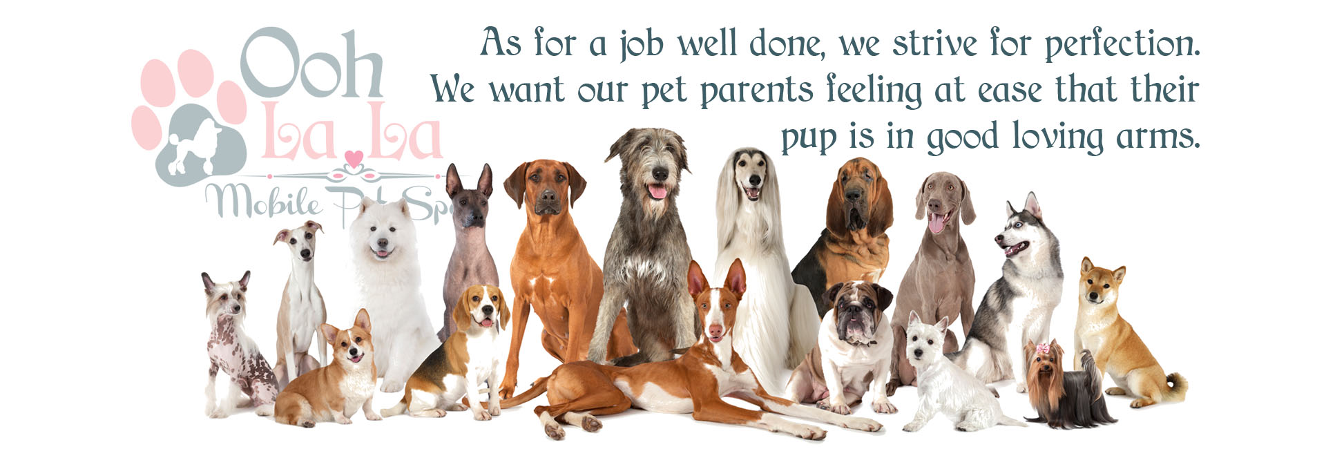 Ooh La La Mobile Pet Spa Mobile Dog Grooming Pet Spa servicing